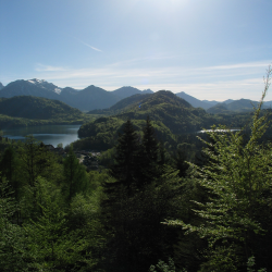 Neuschwanstein  Picture 104.jpg